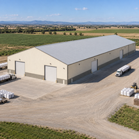 Bâtiment d'entrepôt agricole en acier pour le stockage de semences, d'aliments et de produits ensachés, avec portes larges et structure à travée libre pour l'entreposage agricole