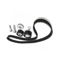 130C11551R Kit de tendeur de courroie de distribution de haute qualité pour RENAULT DUSTER 2.0 OEM 130C11551R