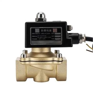 2 Inch Diaphragm Structure Brass Normally Close Solenoid <strong>Valve</strong> Explosion Proof 220V/24V for <strong>LPG</strong> Gas and Water - Product Image 4
