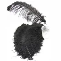 White and Colored Ostrich Feathers, Decorative, Bulk