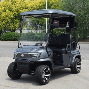 独特设计的电动高尔夫球车2座俱乐部车，带锂电池 - Product Image 2