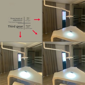Lampe d'examen chirurgical dentaire LED 36W, murale, sans ombre, pour usage vétérinaire et médical, 220V - Product Image 4