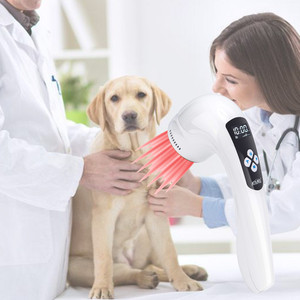 Pet Dor Produto LLLT 810nm 650nm <span class=keywords><strong>Laser</strong></span> Frio para Artrite Do Cão Animal Orelha Infecção Animal Alívio Da Dor - Product Image 5