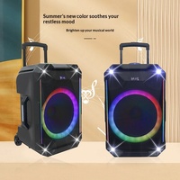 Enceinte trolley Bluetooth 15 pouces, volume puissant, longue autonomie, audio extérieur et domestique avec microphone, Bluetooth 5.3