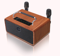 Amplificateur KTV portable personnalisé pour la maison, enceinte de karaoké en bois avec 2 micros sans fil, entrée multimédia