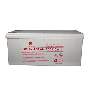 Popular Type 12V 250Ah Lithium <b>Iron</b> Phosphate Rechargeable Battery With BMS Yangtze Battery 5000 Cycle Life <b>5</b>-Year Warranty LFeL - Product Image 1