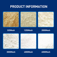 Argile de kaolin de haute qualité de poudre blanche de Metakaolin pour le ciment et le béton