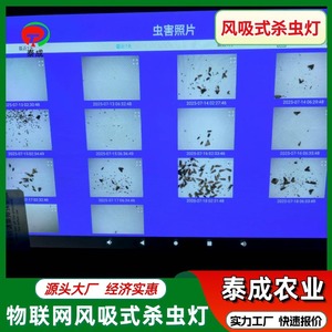 <b>Solar</b> <b>Powered</b> Insect Control <b>Lamp</b> For Farm Use Rectangle Plastic Mosquito Killing Light With Frequency Vibration Feature - Product Image 4