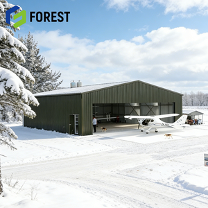 Hangar d'avion préfabriqué en structure acier Q355B, prix usine professionnel, pour stockage d'avions, prix compétitif - Product Image 1