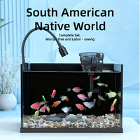 Aquarium de luxe en verre ultra-blanc avec système de filtration dissimulé pour l'aménagement aquatique et l'affichage en bijouterie