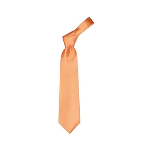 Corbata de poliéster de 150 cm, merchandising personalizado - Product Image 1
