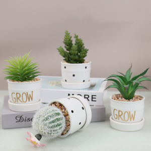 Plantes succulentes artificielles décoratives de <span class=keywords><strong>cactus</strong></span> petites plantes artificielles en pot VP-HL006 - Product Image 3