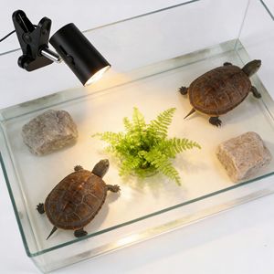 Turtle Basking Lamp Full Spectrum UVA UVB Heat <b>Light</b> Reptile Tank Lighting <b>Timer</b> Function Stainless Steel ABS Material - Product Image 2