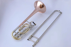 <span class=keywords><strong>Trombone</strong></span> Ténor Transposition B-flat F-key pour Approvisionnement Transfrontalier, Tonalité BB, Matériau Bronze Phosphoreux, Tube de Transposition en Cuivre <span class=keywords><strong>Blanc</strong></span> - Product Image 2