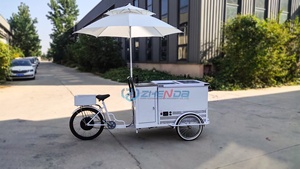 Vélo-chariot de présentation alimentaire avec friteuse, remorques mobiles, kiosque compact, chariot à hot-dogs, stand alimentaire mobile - Product Image 5