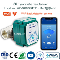 Vanne de détection de fuite d'eau WIFI Vanne d'eau intelligente Arrêt automatique Acier inoxydable Laiton BSP NPT Vanne de régulation de débit motorisée