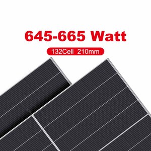 Promoción de Stock en la UE: Panel Solar Fotovoltaico Bifacial de 665W y Panel Bifacial Nuuko de 665W - Product Image 2