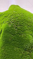 Scène Offre Spéciale décoration de fenêtre simulation mur vert mousse pelouse