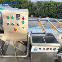 Wasmachine Voor Groenten En Fruit Wasmachine Dadels Appelwasmachine