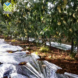 Película de plástico PE reflectante, rollo de película de mantillo de color rojo plateado - Product Image 4