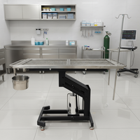 Stable Base Veterinary Surgery Table for Dogs Cats and Other Small Animals Electric 304 Stainless Steel for Pet Surgery
