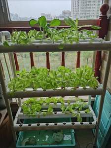 Sistema hidropónico vertical hodroponia interior huerto vertical cultivo vertical Torre hidropónica sistema hidropónico interior - Product Image 6