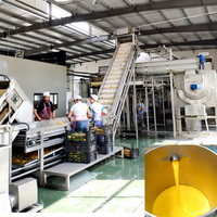 Gebottelde Mangosap Vruchtensap Verwerkingsfabriek Prijs Gearomatiseerde Watervulmachine Productielijn Mango Juicer Machine