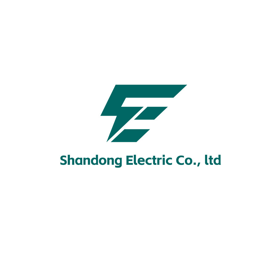 Shandong Electric Co., Ltd.