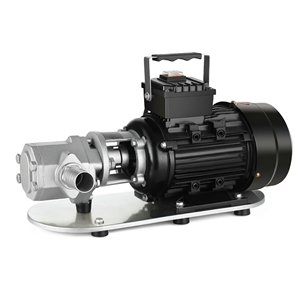 Bomba de engranajes hidráulica autocebante de hierro fundido 220V de alta elevación y gran caudal para transferencia de aceite en sistemas hidráulicos - Product Image 1