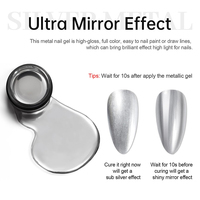 Fournisseur OEM de gel à ongles BOZLIN 5ml Gel à ongles métallique haute densité couleur argent miroir chrome 3D