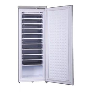 Congélateur vertical de qualité supérieure de 198 litres avec 11 niveaux pour machine à glaçons et poisson, pour usage commercial, marché sénégalais - Product Image 2