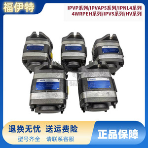 Pompe à engrenages Voith série IPVP, pompe hydraulique à haute pression à déplacement fixe, corps en fonte, engrenages en cuivre - Product Image 2
