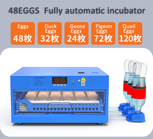 Incubateur d'oeufs <span class=keywords><strong>de</strong></span> <span class=keywords><strong>canard</strong></span> pour couver des cailles avec certificat CE - Product Image 1