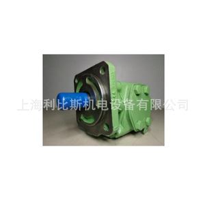 Pompe à huile RICKMEIER R253.15FL Z DB 250 Bar, pompe rotative à 1 étage, corps en fonte, engrenage en acier inoxydable 304, application hydraulique - Product Image 3