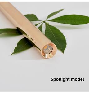 <span class=keywords><strong>Lampadario</strong></span> cilindrico con lampada a LED singola in oro francese per luci a sospensione a Led - Product Image 4