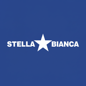 Stella bianca 40mm elettrolitica diamante nucleo punta per il modello di 067040 in muratura e calcestruzzo - Product Image 1