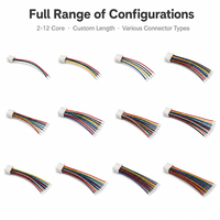 Fabrication professionnelle sur mesure de tous types de câbles électroniques industriels Molex Jst, faisceaux de câbles