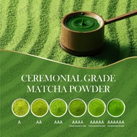 Bouteille de poudre de matcha Amaz avec bouchon, 100% naturelle, biologique, thé vert cérémonial amincissant, capsules de thé vert, bouteille d'eau avec bouchon pour poudre de matcha