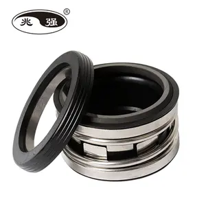 Int-0250-S Type 2100 Mechanical Seal 0250/2100/S/AR1-1