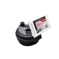 Label Harga Digital E-ink 2.4GHz, Label Harga Elektronik ESL All-in-one Plus Tag Anti-maling EAS untuk Toko Retail