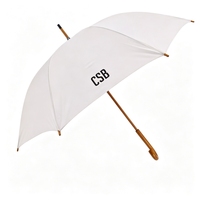 Parasol Droit 23" 16K avec Illustration Dessinée à la Main d'Inspiration Française, Motif Doodle Art, Manche en Bois Clair avec Crochet en J, Idéal pour Cadeau