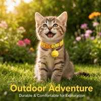 Dispositif de suivi en temps réel mondial, moniteur d'activité, anti-perte, mini portable pour chien et chat, traceur GPS pour animaux de compagnie de haute technologie