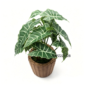 <span class=keywords><strong>Planta</strong></span> Artificial <span class=keywords><strong>de</strong></span> Caladium en Maceta <span class=keywords><strong>de</strong></span> Mimbre, Follaje Realista <span class=keywords><strong>de</strong></span> Alocasia, <span class=keywords><strong>Planta</strong></span> Artificial <span class=keywords><strong>de</strong></span> <span class=keywords><strong>Oreja</strong></span> <span class=keywords><strong>de</strong></span> <span class=keywords><strong>Elefante</strong></span> Tropical para Decoración del Hogar - Product Image 2