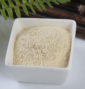 Pó de esparja puro de alta qualidade, em massa de boa qualidade shatavari - Product Image 2