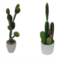 Cactus artificiel en plastique en pot, Bonsaï, plantes tropicales du désert pour la maison et le salon, vert, taille 17-18 pouces