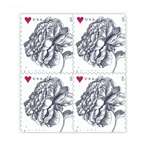 Nouvelles Étiquettes Postales Design Vintage Rose pour Mariage, Autocollants de <span class=keywords><strong>Timbres</strong></span> <span class=keywords><strong>Postaux</strong></span> pour Collection - Product Image 1