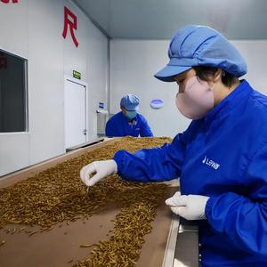 Goedkope Gedroogde Meelwormen Vogel- & Visvoer Hoog Proteïnegehalte 1,0kg Gedroogde Eetbare Insecten Gele Meelwormen Liwei - Product Image 5