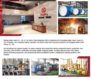 Nhà Sản Xuất Tùy Chỉnh Điều Khiển Từ Xa Cơ hoành Bóng Van Float Bóng Van - Product Image 6