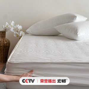Tokogasa Quilted Fitted Mattress Protector 1.5M Waterproof Solid Color All Season <b>Bed</b> Protection <b>Pad</b> - Product Image 3