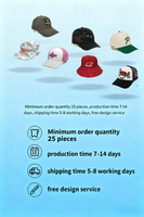 Casquette de baseball structurée personnalisée en 6 pièces, couleur personnalisée et logo brodé, visière incurvée, en coton, unisexe, pour le sport